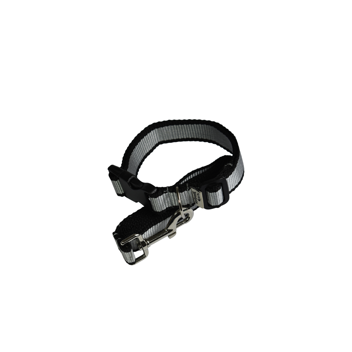 Juego De Correa Con Collar Ajustable Y Diseño Resistente
